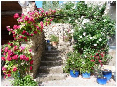 Chambres d'Hôtes Cotignac : Les Fleurs