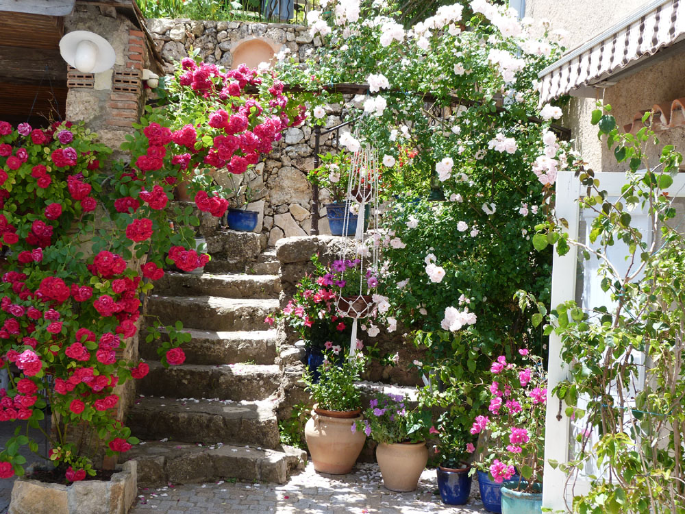 Chambres d'Hôtes Cotignac Les Fleurs 23