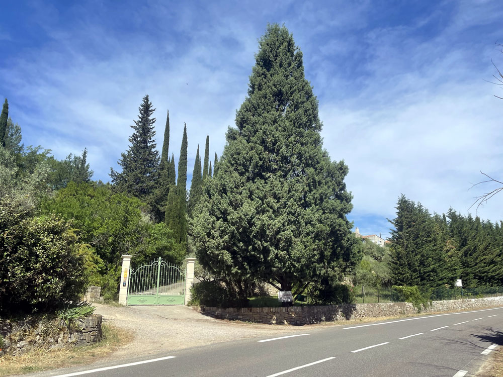 Chambres d'Hôtes Cotignac : Nouveau Portail 2